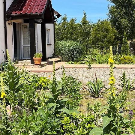 Pokoje Goscinne Neptunia Rusinowo  Exterior photo