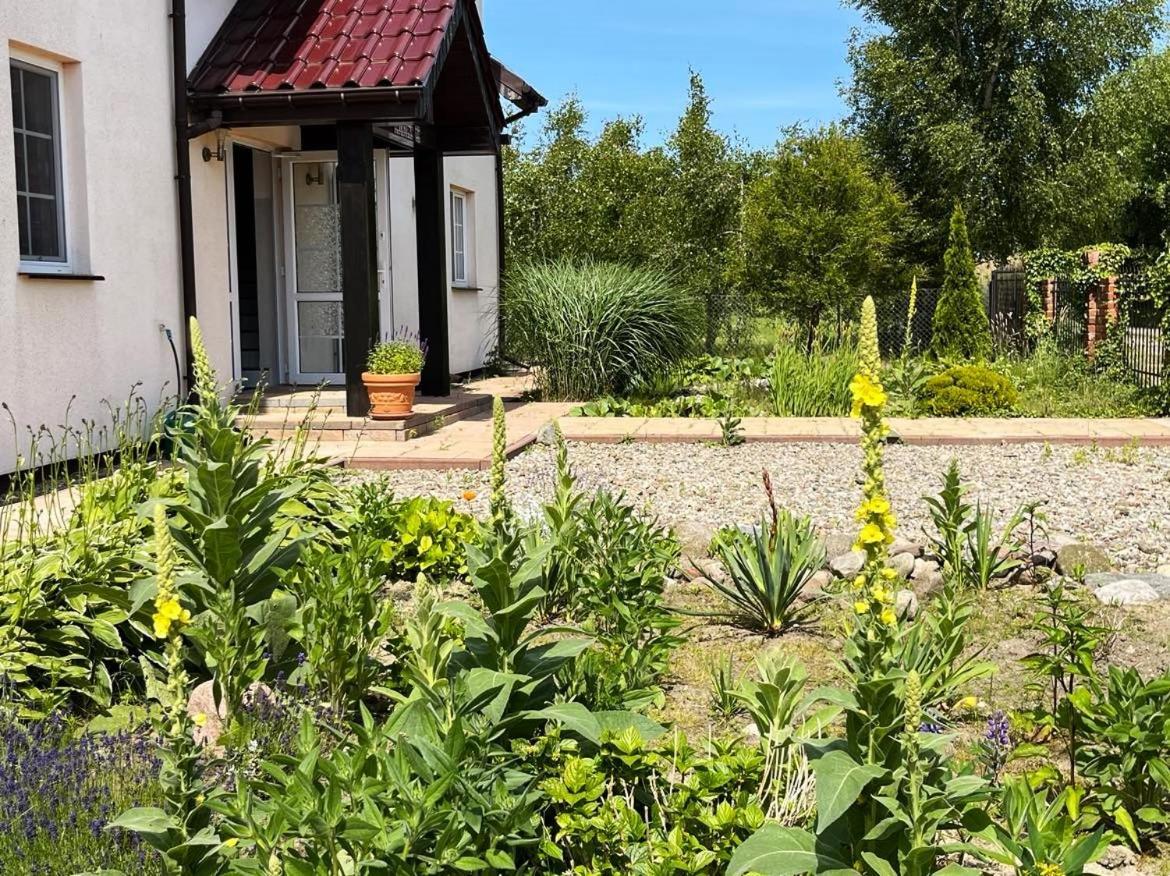 Pokoje Goscinne Neptunia Rusinowo  Exterior photo